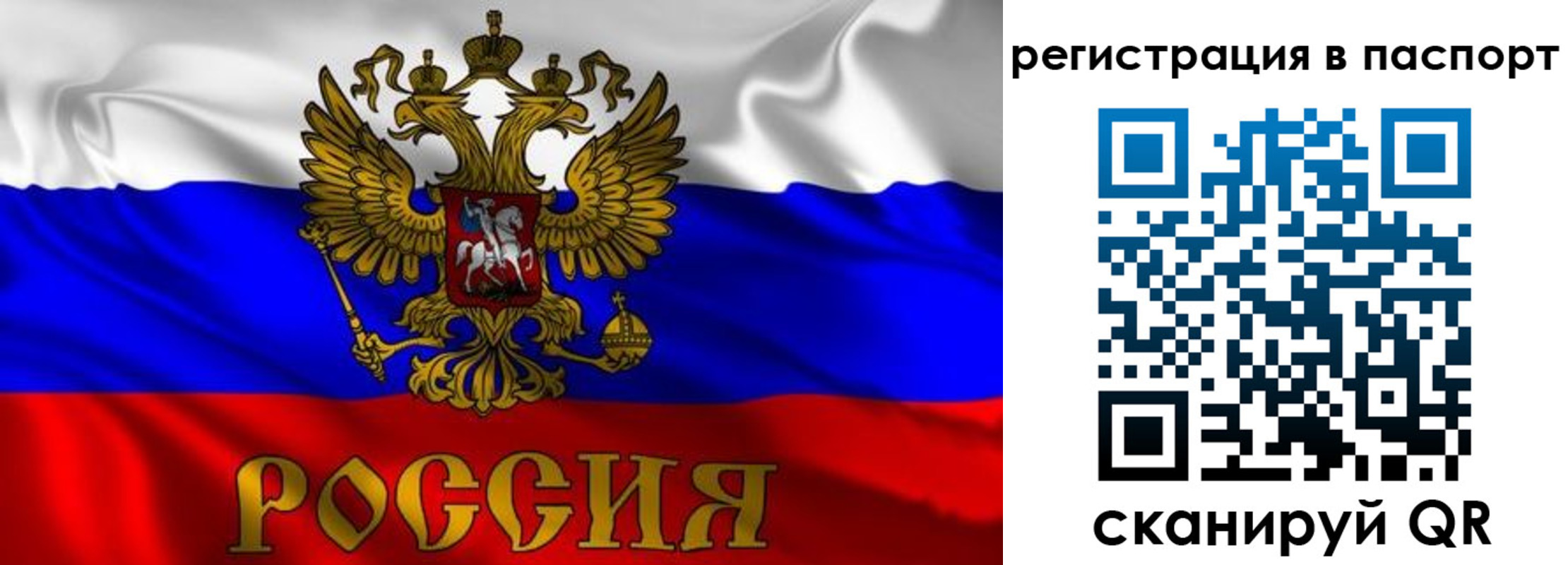 найти адрес прописки в Вилючинске